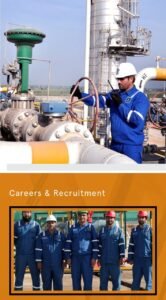 New Pakistan Petroleum Limited Jobs 2024