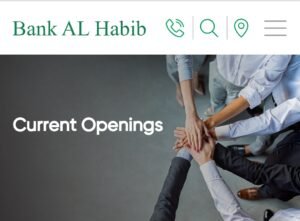 New Bank Al Habib Jobs 2024