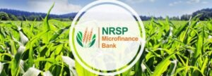 New NRSP Microfinance Bank BDO Jobs 2024