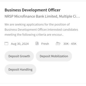 New NRSP Microfinance Bank BDO Jobs 2024