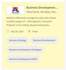 New Allied Bank (BDO) Business Development Officer Jobs 2024