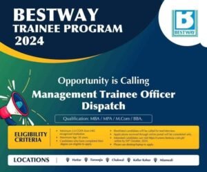 New Bestway Cement Company Management Trainee Officer Jobs 2024