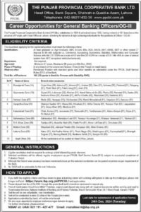 New Punjab Provincial Cooperative Bank PPCBL Jobs 2024